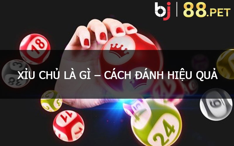 Xỉu chủ là hình thức gì