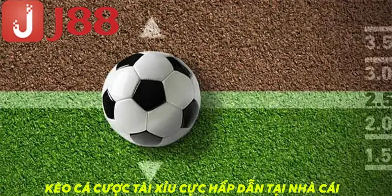 Kèo cược tài xỉu cực hấp dẫn tại nhà cái